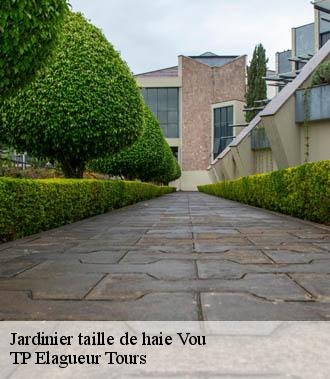 Jardinier taille de haie  vou-37240 TP Elagueur Tours 