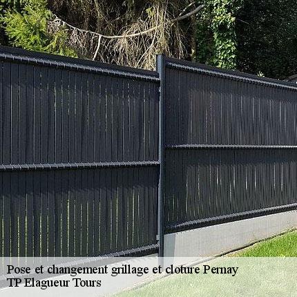 Pose et changement grillage et cloture  pernay-37230 TP Elagueur Tours 