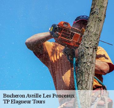 Bucheron  avrille-les-ponceaux-37340 TP Elagueur Tours 