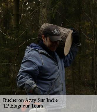 Bucheron  azay-sur-indre-37310 TP Elagueur Tours 