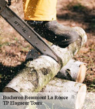 Bucheron  beaumont-la-ronce-37360 TP Elagueur Tours 