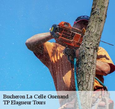 Bucheron  la-celle-guenand-37350 TP Elagueur Tours 