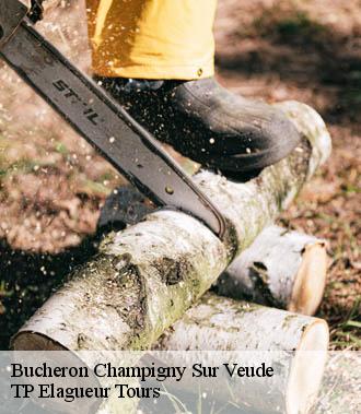 Bucheron  champigny-sur-veude-37120 TP Elagueur Tours 