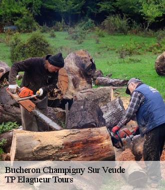 Bucheron  champigny-sur-veude-37120 TP Elagueur Tours 