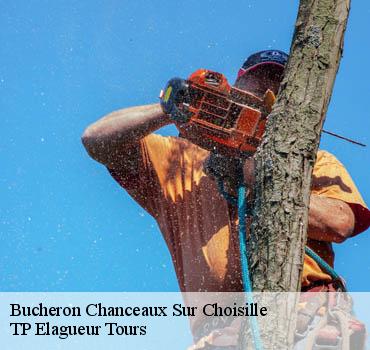 Bucheron  chanceaux-sur-choisille-37390 TP Elagueur Tours 