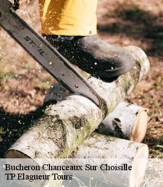 Bucheron  chanceaux-sur-choisille-37390 TP Elagueur Tours 
