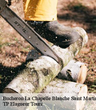 Bucheron  la-chapelle-blanche-saint-martin-37240 TP Elagueur Tours 