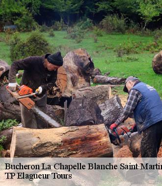 Bucheron  la-chapelle-blanche-saint-martin-37240 TP Elagueur Tours 