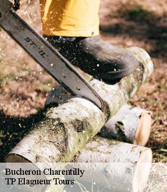 Bucheron  charentilly-37390 TP Elagueur Tours 