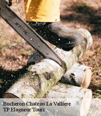 Bucheron  chateau-la-valliere-37330 TP Elagueur Tours 