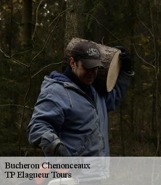 Bucheron  chenonceaux-37150 TP Elagueur Tours 