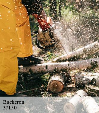 Bucheron  chenonceaux-37150 TP Elagueur Tours 