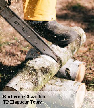Bucheron  chezelles-37220 TP Elagueur Tours 