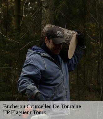 Bucheron  courcelles-de-touraine-37330 TP Elagueur Tours 