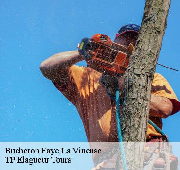 Bucheron  faye-la-vineuse-37120 TP Elagueur Tours 