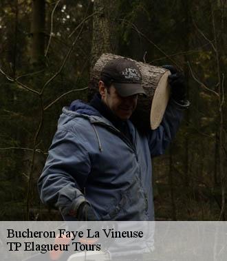 Bucheron  faye-la-vineuse-37120 TP Elagueur Tours 