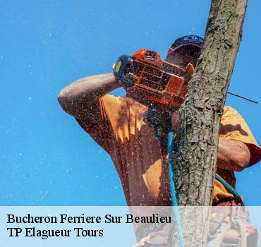 Bucheron  ferriere-sur-beaulieu-37600 TP Elagueur Tours 