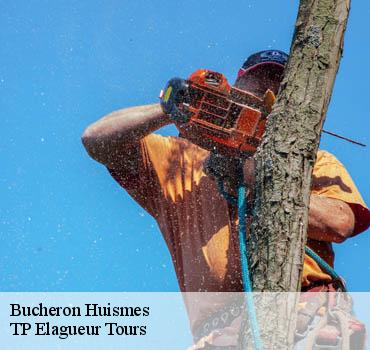 Bucheron  huismes-37420 TP Elagueur Tours 
