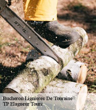 Bucheron  lignieres-de-touraine-37130 TP Elagueur Tours 