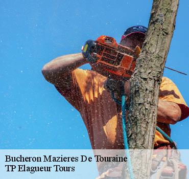 Bucheron  mazieres-de-touraine-37130 TP Elagueur Tours 