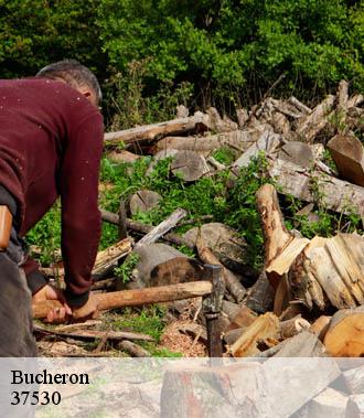 Bucheron  montreuil-en-touraine-37530 TP Elagueur Tours 