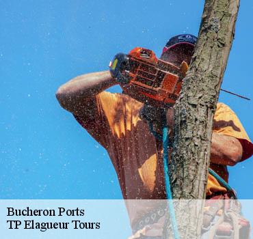 Bucheron  ports-37800 TP Elagueur Tours 