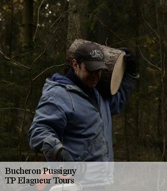 Bucheron  pussigny-37800 TP Elagueur Tours 