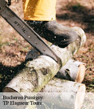 Bucheron  pussigny-37800 TP Elagueur Tours 