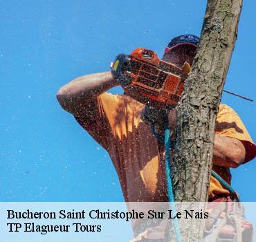 Bucheron  saint-christophe-sur-le-nais-37370 TP Elagueur Tours 