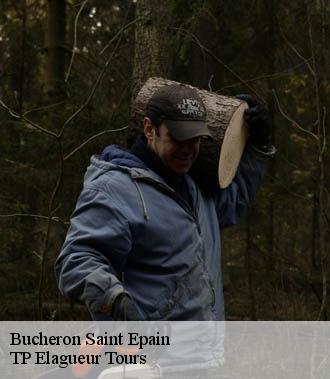 Bucheron  saint-epain-37800 TP Elagueur Tours 
