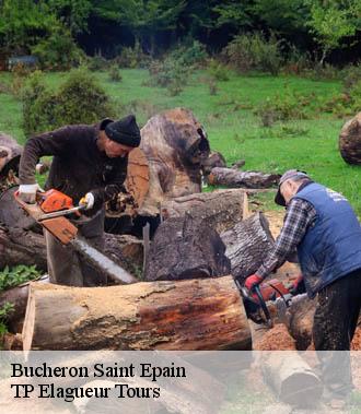 Bucheron  saint-epain-37800 TP Elagueur Tours 