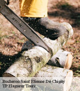 Bucheron  saint-etienne-de-chigny-37230 TP Elagueur Tours 