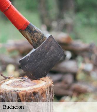 Bucheron  saint-genouph-37510 TP Elagueur Tours 