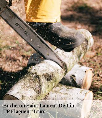 Bucheron  saint-laurent-de-lin-37330 TP Elagueur Tours 