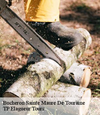 Bucheron  sainte-maure-de-touraine-37800 TP Elagueur Tours 