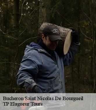 Bucheron  saint-nicolas-de-bourgueil-37140 TP Elagueur Tours 