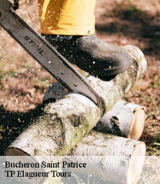 Bucheron  saint-patrice-37130 TP Elagueur Tours 