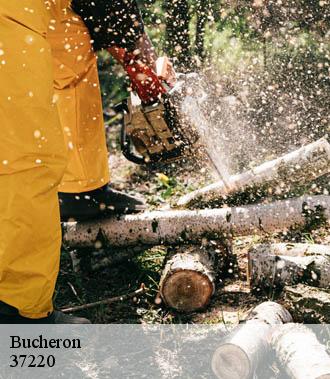 Bucheron  sazilly-37220 TP Elagueur Tours 