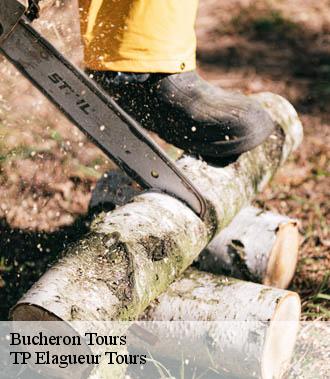 Bucheron  tours-37000 TP Elagueur Tours 