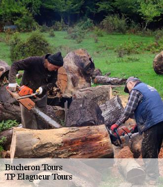 Bucheron  tours-37000 TP Elagueur Tours 