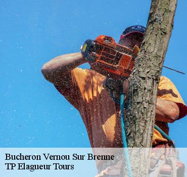 Bucheron  vernou-sur-brenne-37210 TP Elagueur Tours 