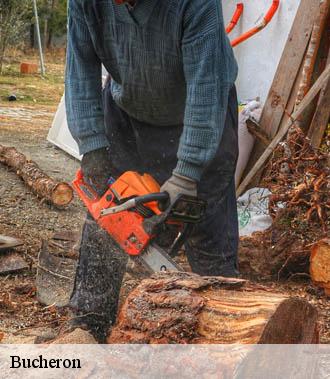 Bucheron  villandry-37510 TP Elagueur Tours 