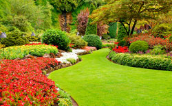 Entreprise de jardinage 37