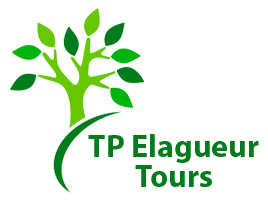 elagage-tp-elagueur-tours